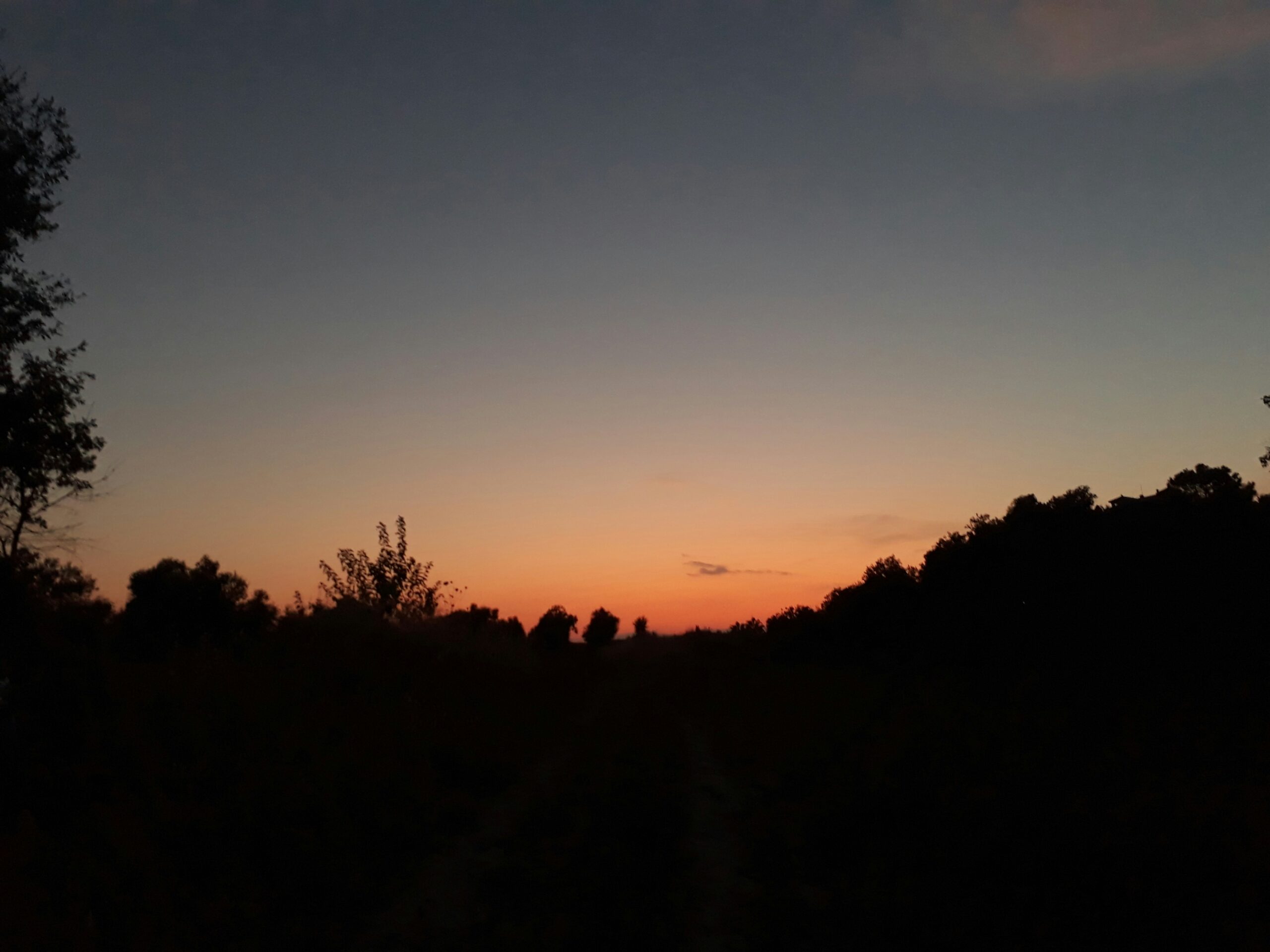 Fentanyl Addiction treatment