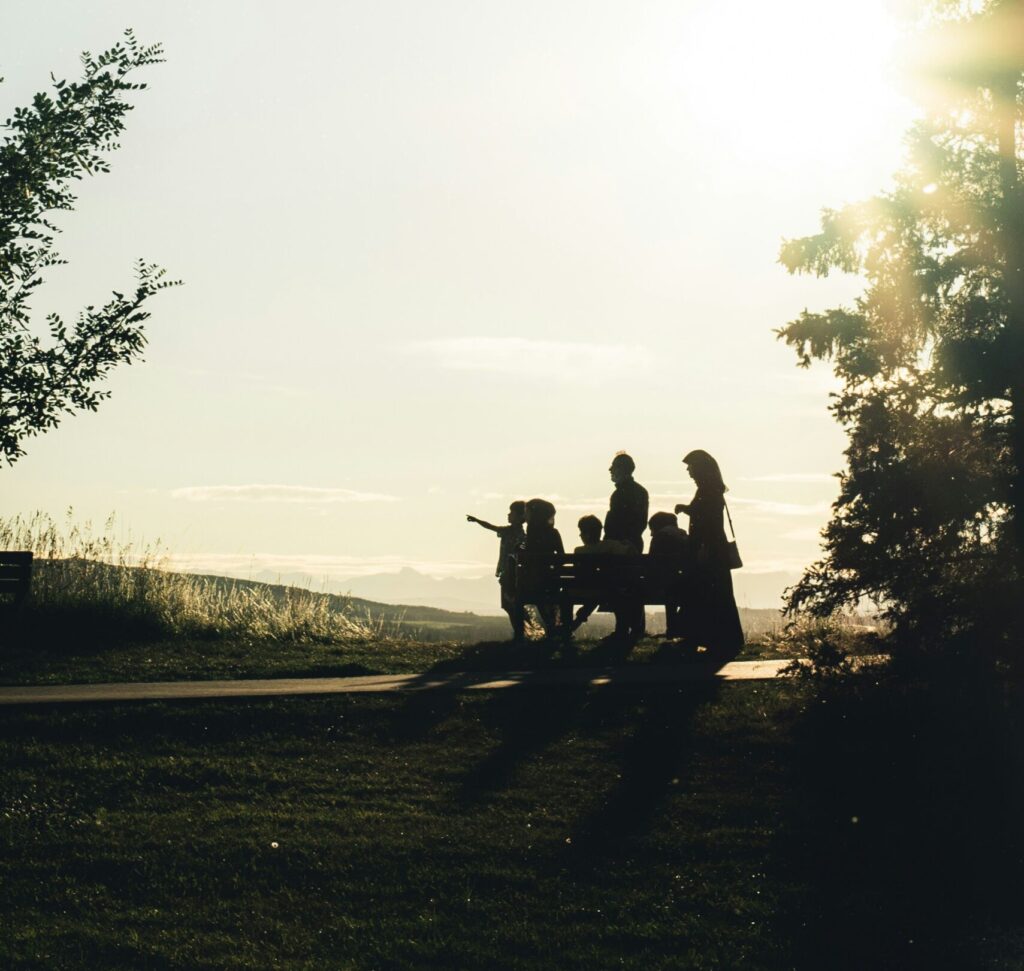 trauma informed therapy for rehab